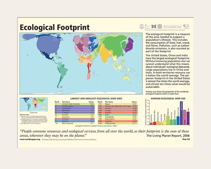 it_04_06_ecofootprint