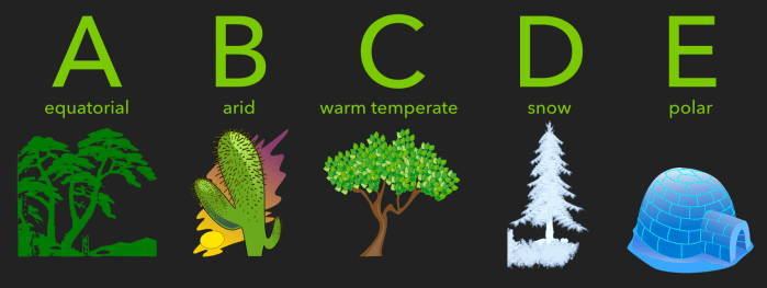 Screen Shot 2018-02-11 at 2.55.11 PM.png