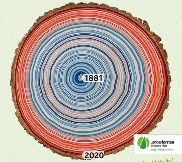 A cross-section of a tree trunk displaying colorful annual growth rings, with deep blues and reds representing temperature variations. The years 1881 and 2020 are marked, illustrating climate changes over time. A logo of Landesforsten Rheinland-Pfalz is present at the bottom.