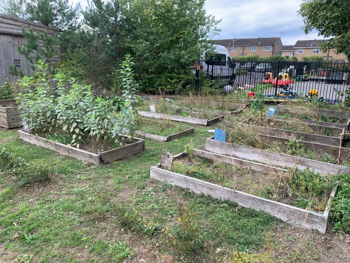 Growing knowledge: the school allotment helps pupils connect with food, nature, and sustainability.